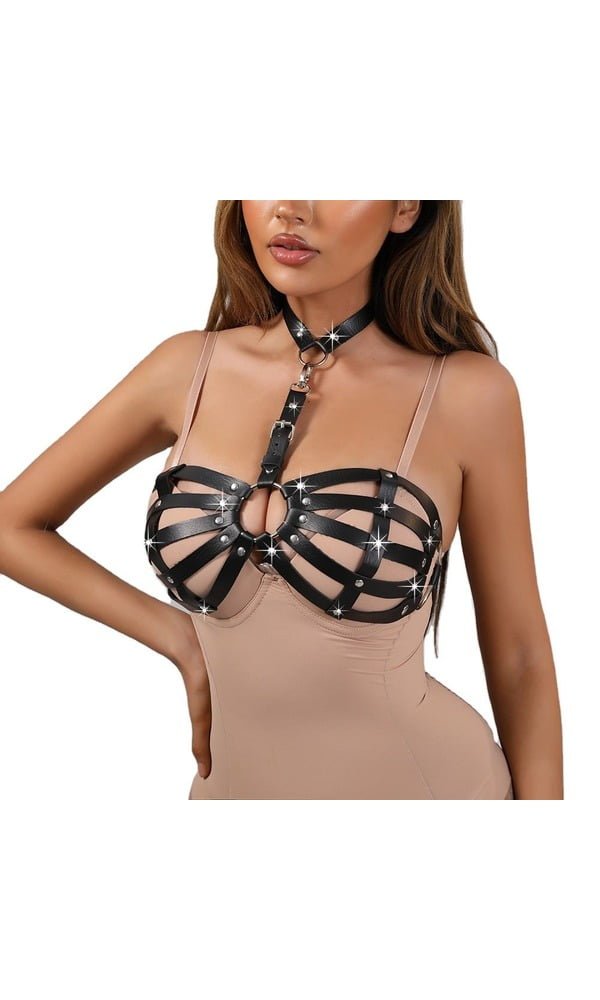 bdsm lingerie bh